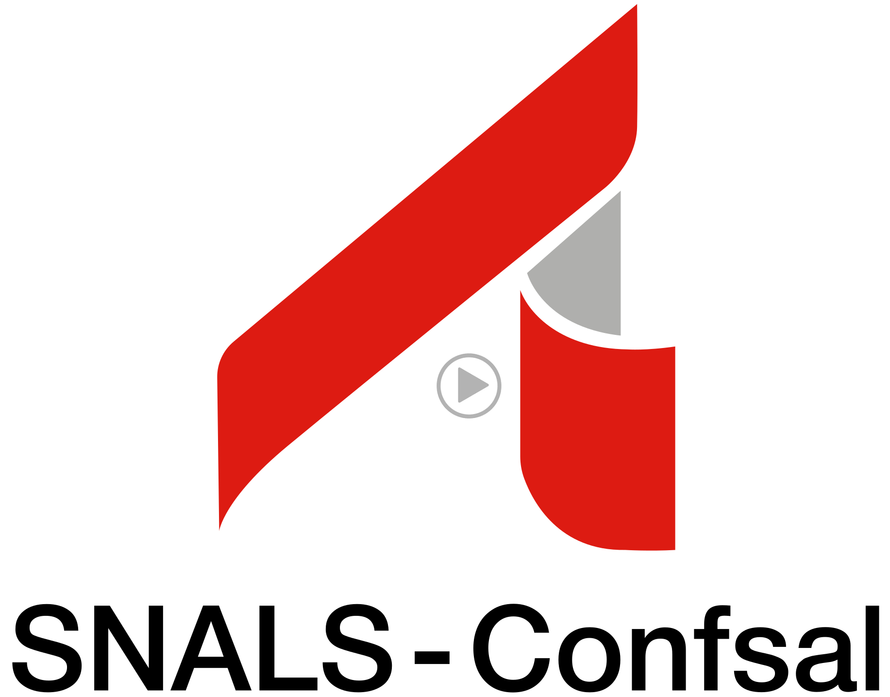 logo snals confsal elezioni rsu 2025